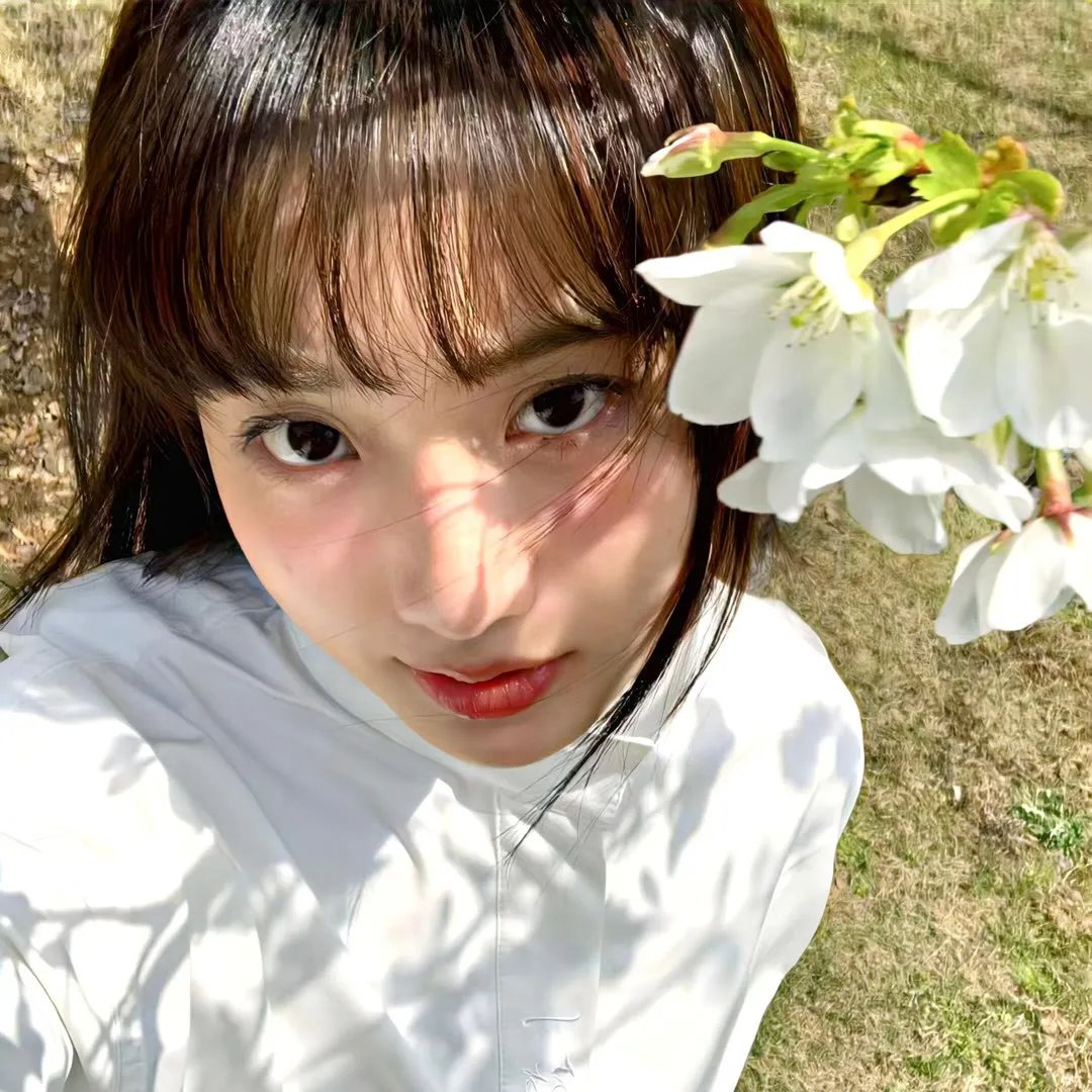 百鸟朝凤